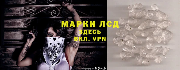 стаф Алзамай