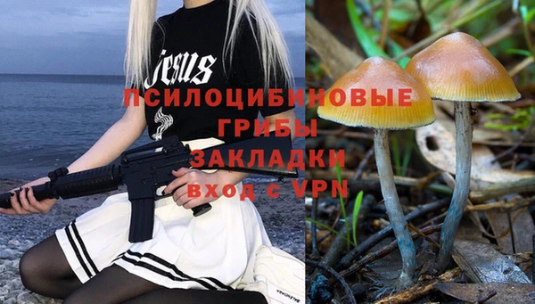 мескалин Надым