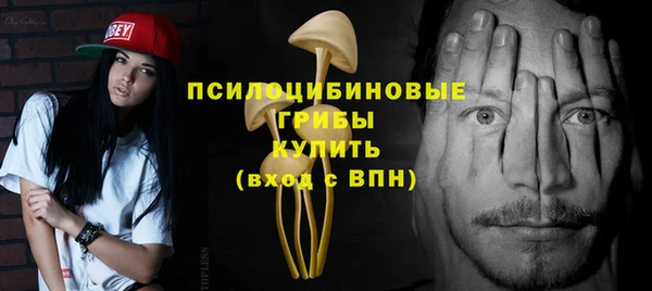 стаф Алзамай