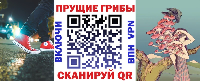 Галлюциногенные грибы Psilocybine cubensis  OMG   Славск 